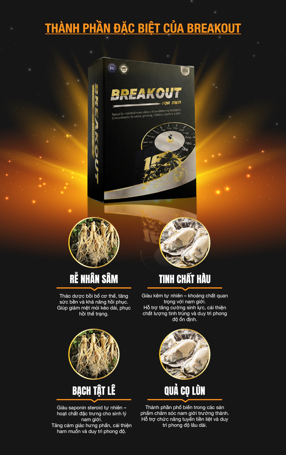 THÀNH PHẦN ĐẶC BIỆT CỦA BREAKOUT 